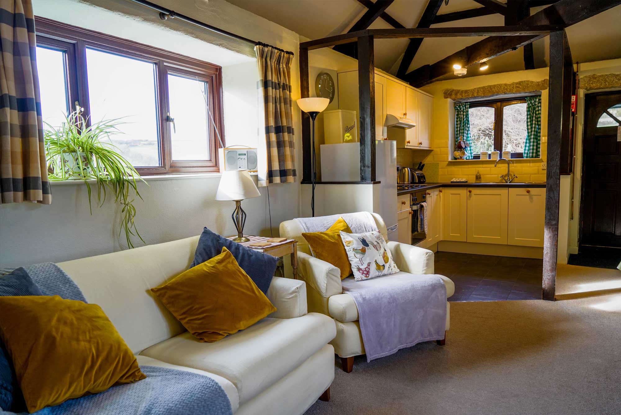 The Byre Living Room and Kitchen
